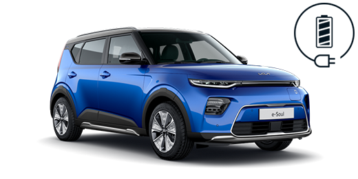 e-Soul