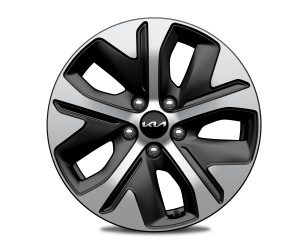 204731-36_rgb_300dpi