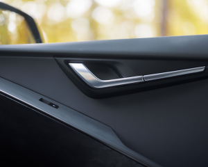 Niro_EV_Detale_(1)_0711