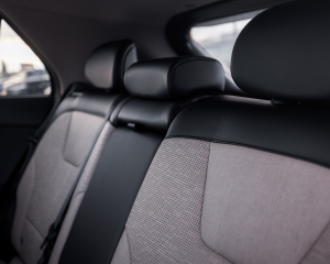 Niro_EV_Detale_(7)_0711