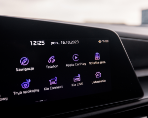 Niro_EV_wnetrze_(10)_0711