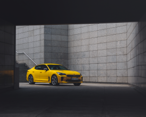Stinger503