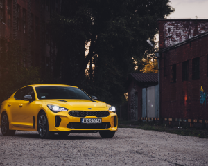 Stinger505