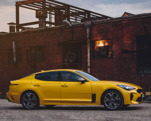 Stinger506