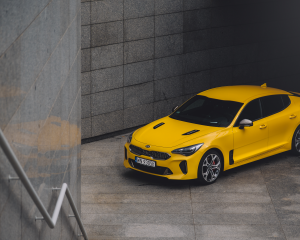 Stinger508