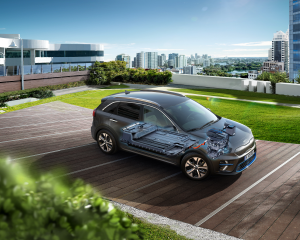 204030-53_rgb_300dpi