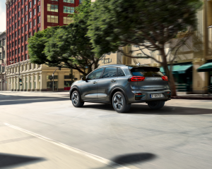 204945-41_rgb_300dpi